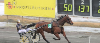 Räkna med någon Sandra-seger på hemmabanan