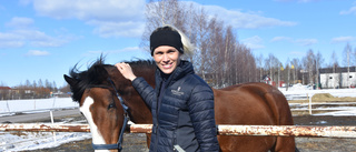 Ridhuset jämnat med marken - nya stallet snart klart