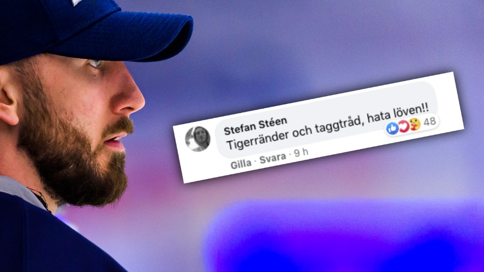 Stefan Stéen och hans hyllade Facebook-kommentar.
