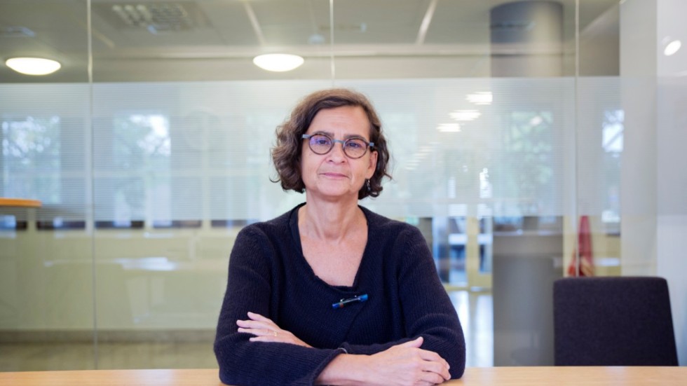 Anneli Bergholm Söder, länsråd på Gotland, förklarar att det är viktigt med en god krisberedskap om en samhällskris skulle uppstå.