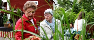 En trädgårdsdag kräver sin vänderot