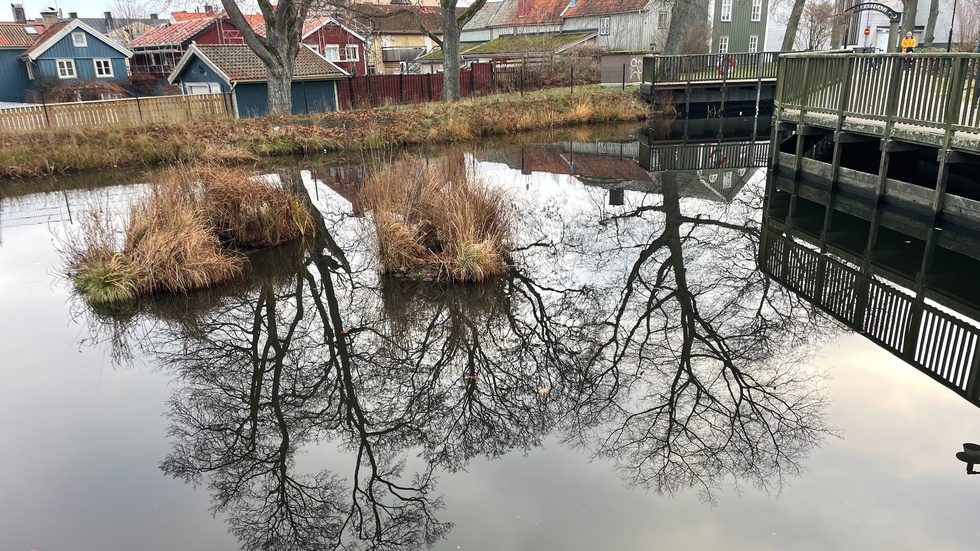 Dammen i Stadsparken kommer att tömmas på vatten. 
