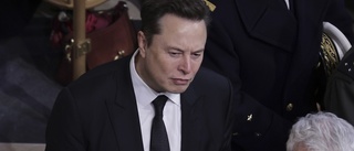 Kritik mot Musk efter hyllning av högerextrema