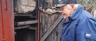 Här tar Torsten, 94, ut det gigantiska getingboet • "Maffigt"