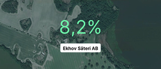 Ekhov Säteri AB: Nu är redovisningen klar – så ser siffrorna ut