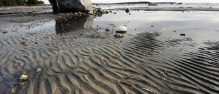 Strandskydd i Rörbäck blir kvar