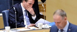Regeringen har fel om jobben