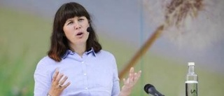 Klimat och ekonomi i Romson-tal