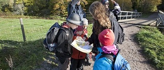 Scouter på kartkamp i Hågadalen