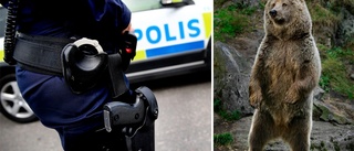 Jagades av björn – gömde sig i skjul och fick poliseskort