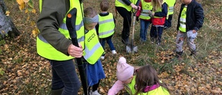 Förskolebarn och Rotary bidrar till blomsteräng