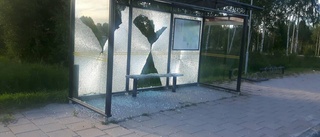 Busskurer vandaliserade