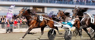 Världshästar aktuella för miljonloppet i Boden