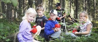 Naturskolan på blåbärsjakt