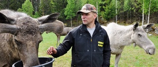 Älgparken årets turistmål