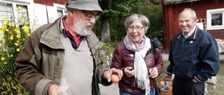 Äppeldagarna lockade även i år