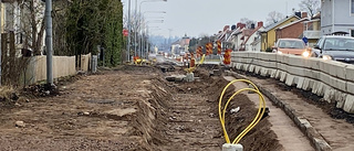 Nu börjar finplaneringen av Östermalmsgatan – då kommer växterna