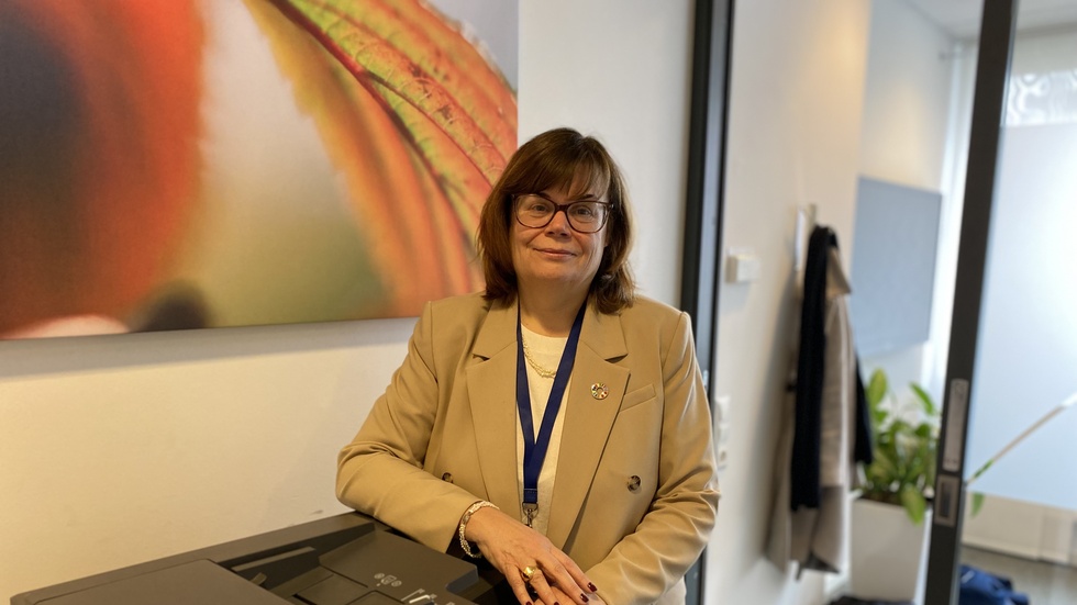 Maria Rengefors är fondchef på Nordea.