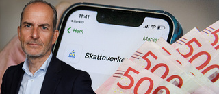 Förklaringen: Därför kan du få extra stor skatteåterbäring i år