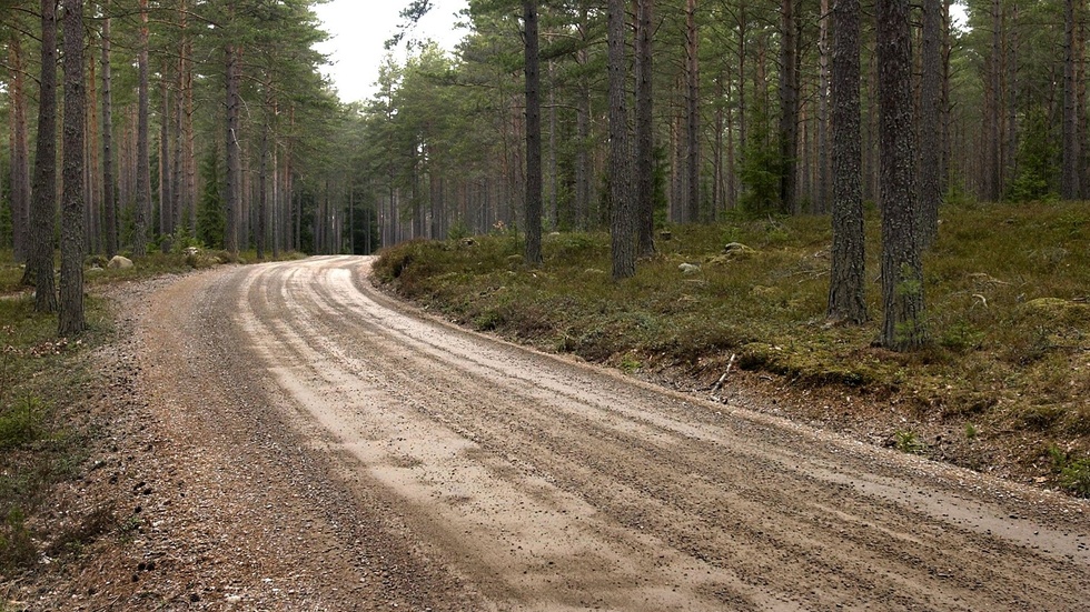 Bråket mellan grannarna gäller rätten till en väg, dock en helt annan väg än den på bilden.