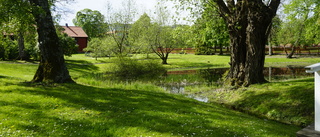 Nej, slottsparken tillhör hela Östergötland