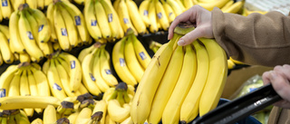 Kokain hittat bland bananer i tyska mataffärer