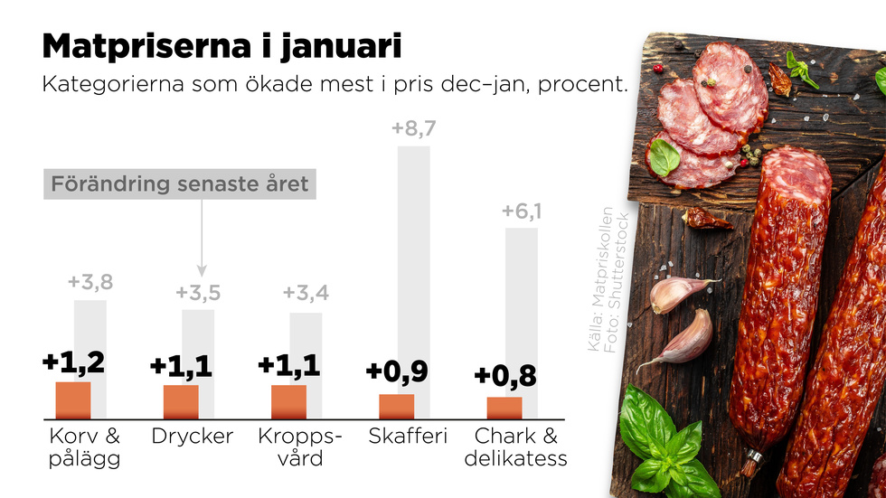 Prisutveckling i procent den senaste månaden för de kategorier som ökat mest i pris.