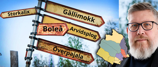 ✔Gällimokk ✔Storkalix ✔Boleå? • Här är kommuner som kan slås ihop