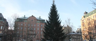 Förslag: Byt namn på Tyska torget