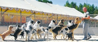 Livet på en turnerande cirkus