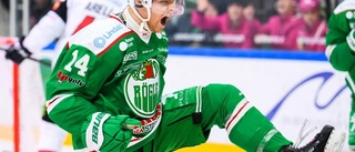 SHL-succé fortsätter – hjälte i heta derbyt