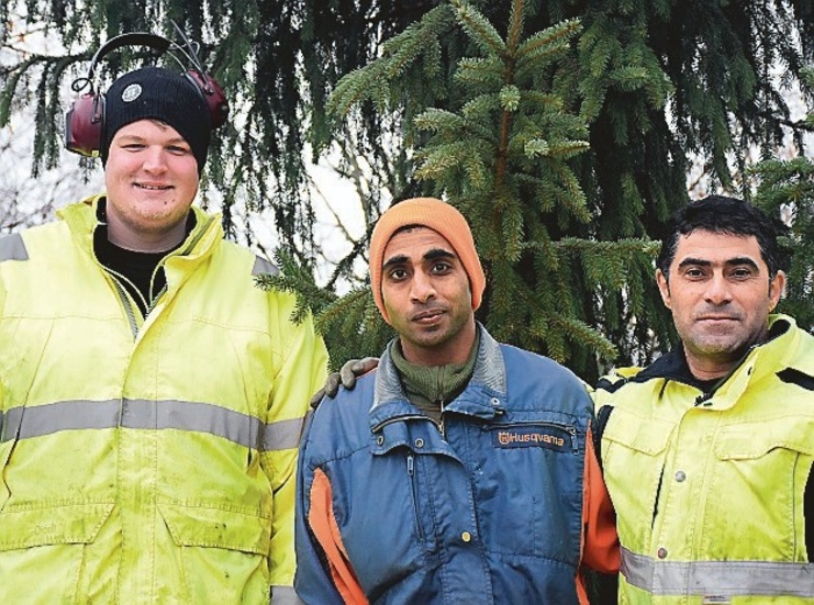 Tobias Johansson, Albin Lindgren och Nihad Abdulla var igår och satte upp den nya granen i Mariannelund. Foto: Elin E Elmström