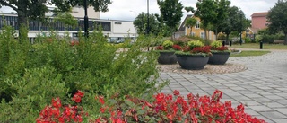 Landsbygdsmässa arrangeras i Mariannelund