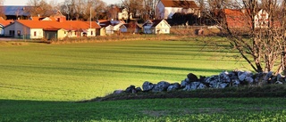 Här planeras för att bygga 50 hus på åkermark