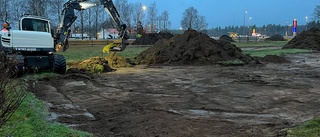 Nya satsningen: här ska det bli blomsterängar för att rädda bin • "Vi hoppas att de sandlevande vildbina ska flytta in"