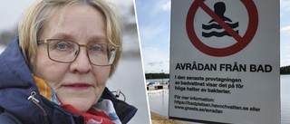 Detektivarbetet visar – bajsbakterier strömmar ut i sjön ✓Möjliga källor: Båtar, djur och avlopp ✓Så ska sommaren räddas