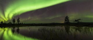 Discover the magic: chasing the Northern Lights in Skellefteå