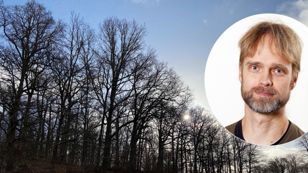 "Vår misstanke är att den politiska majoriteten inte vill förbinda sig till ett naturreservat", säger David Aronsson, Vänsterpartiet, angående naturområdet Fågelsången.