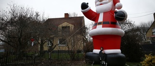 Har familjen Norrköpings största tomte? •"Folk som vet att vi har den brukar börja tjata redan vid första advent"