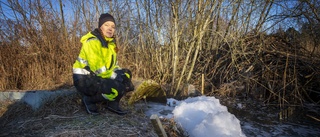 Reningsverket visste att plasten kunde läcka ut i havet