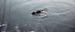 Mysteriet med utsläppet löst