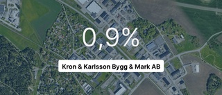 Inget företag i branschen hade större omsättning än dem i fjol