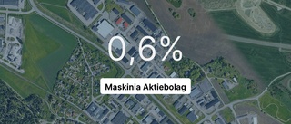 Omsättningen tar fart för Maskinia Aktiebolag - men resultatet sjunker