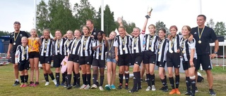 De tog guld i fotbollsfestival