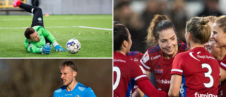 Så gick det för gotlänningarna i fotbollsvärlden: ✓ Tvåmålsskytt ✓ Inbytt ✓ Straffräddning – men förlust ändå