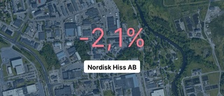 Intäkterna fortsätter växa för hissföretaget