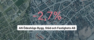 AN Ödeshögs Bygg, Städ och Fastighets AB: Efter tre år med tillväxt - nu är siffrorna röda