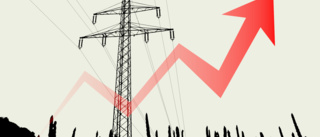 Lägre elpris skulle sänka inflationen