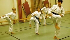 Karate sport för hela familjen