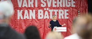 Reformer är inte bästa grenen för Socialdemokraterna